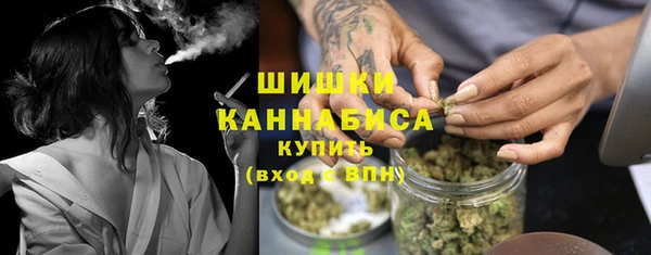 стафф Тавда