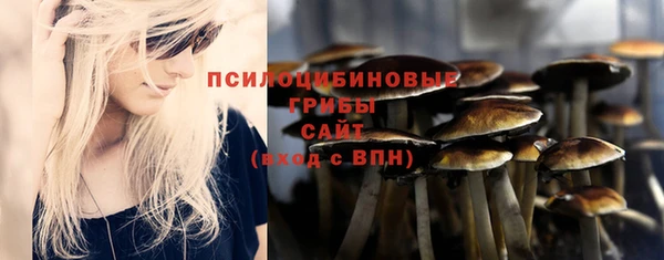 таблы Богородицк