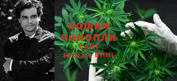 молекула духа Белоозёрский
