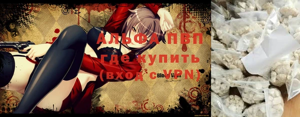 молекула духа Белоозёрский