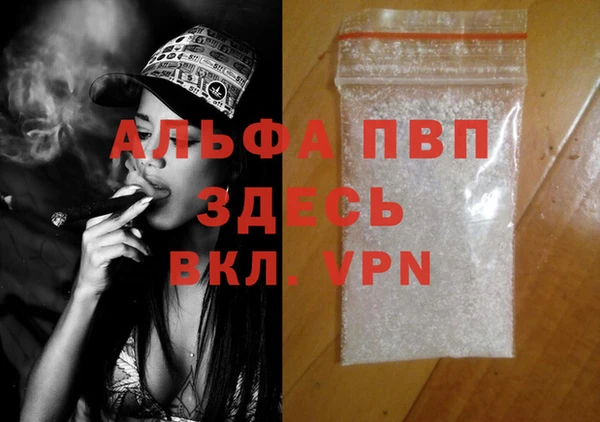 молекула духа Белоозёрский