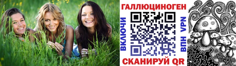 купить наркотики сайты  Володарск  Галлюциногенные грибы MAGIC MUSHROOMS 